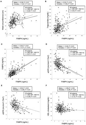 Independent and Distinct Associations of FABP4 and FABP5 With Metabolic Parameters in Type 2 Diabetes Mellitus